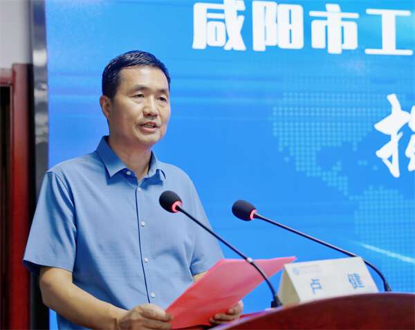 蓝衬衣.jpg