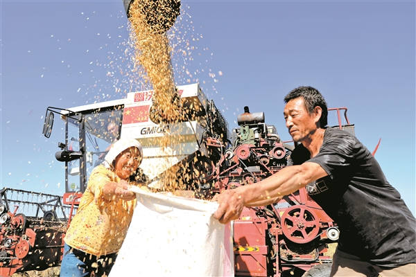 晋中市各地举办丰富活动庆祝第五个“中国农民丰收节”