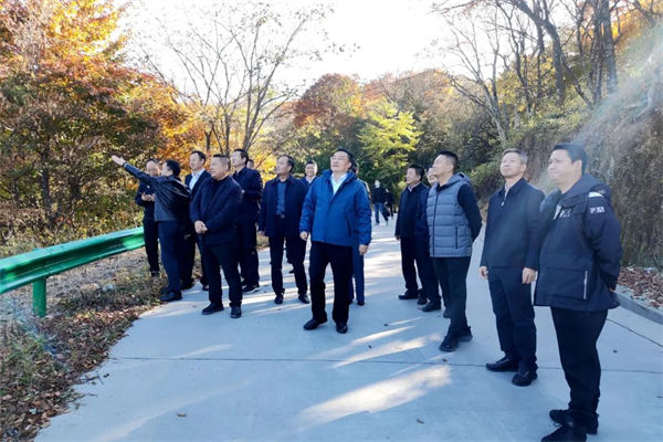 图片31.jpg