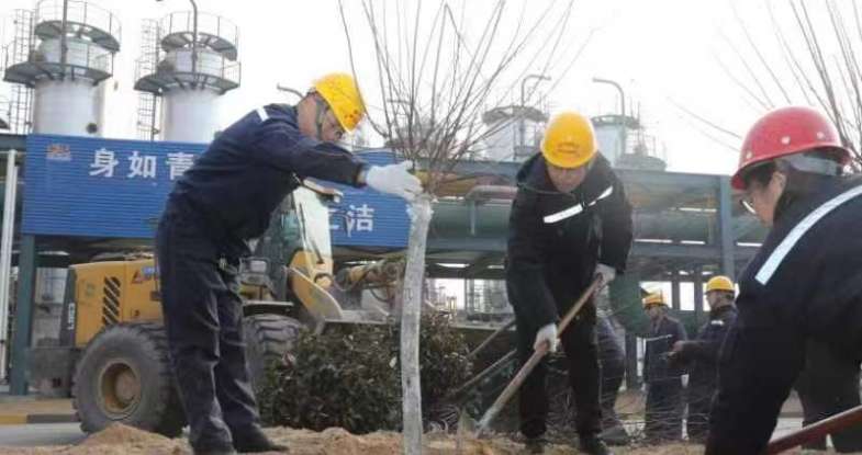山西河津市龙门村：春季植树正当时 增绿补绿添生机