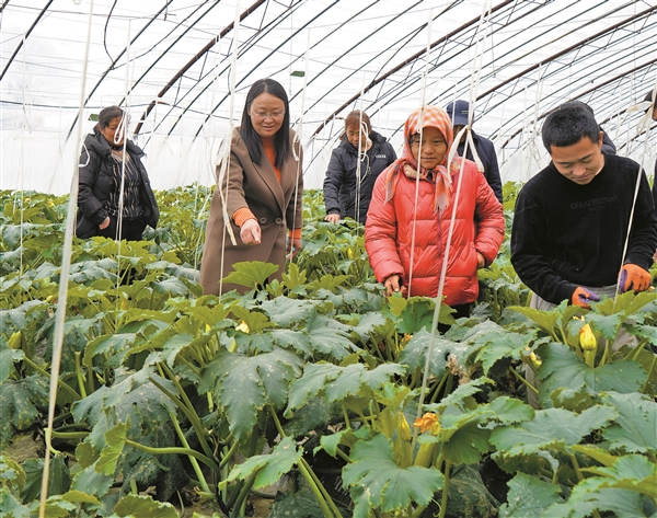 耕耘在希望的田野上 —— 记“全国巾帼建功标兵”、寿阳县现代农业产业发展中心高级农艺师弓秀琴