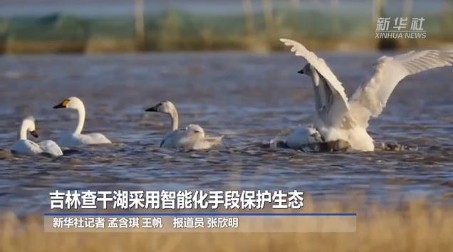 吉林查干湖采用智能化手段保护生态