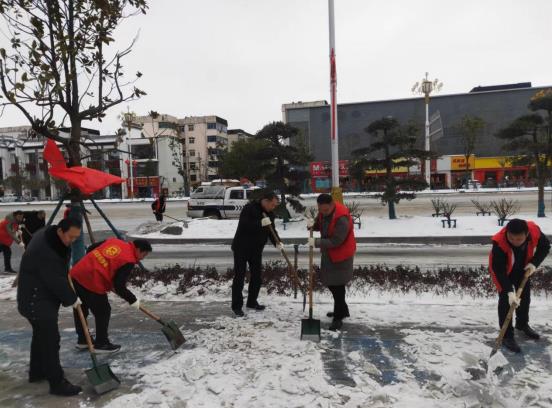南阳市生态环境局宛城分局开展“党员志愿者清雪除冰”活动