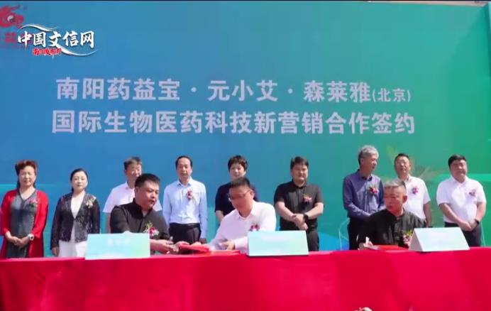 南阳：政企联动共促艾产业发展