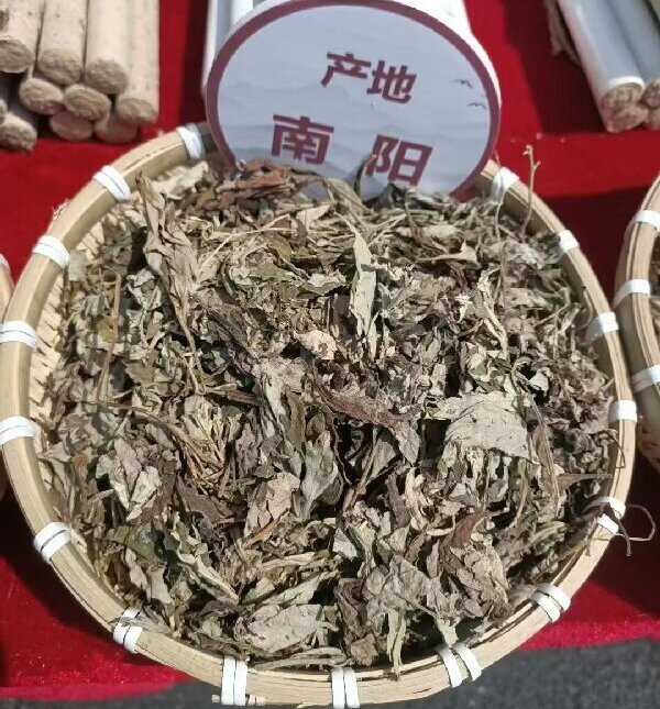 艾2.jpg