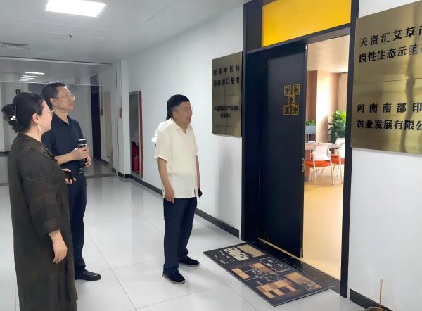 桂延耀一行赴卧龙艾草产业园调研
