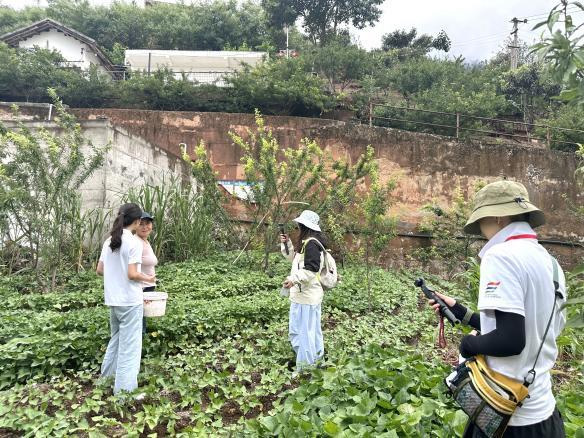 青春筑梦乡村行 携手共绘振兴景——“彝影传新，融创兴乡”社会实践团