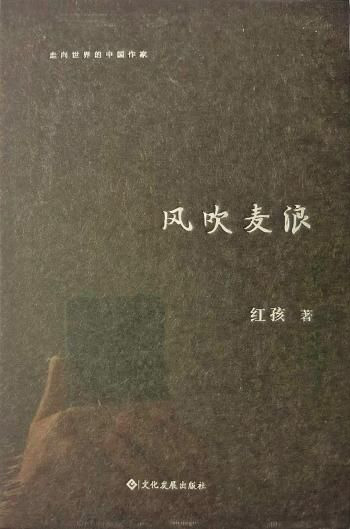 1005.jpg