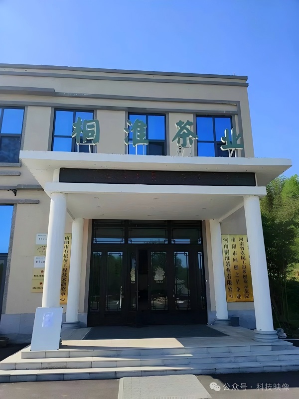 杜1(1).jpg