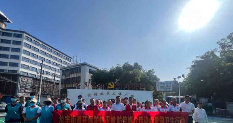 惠州龙丰街道开展防蚊灭蚊防控卫生整治行动