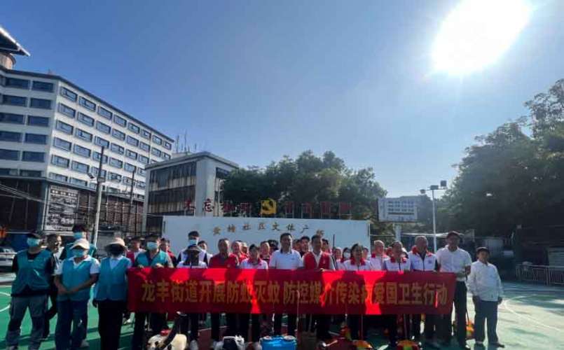 惠州龙丰街道开展防蚊灭蚊防控卫生整治行动