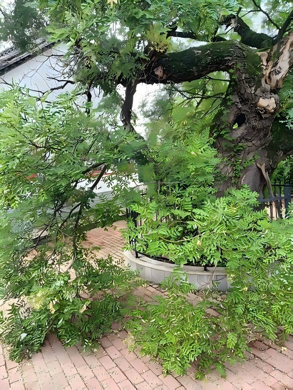 微信图片_20250811094954_6(1)(1).jpg