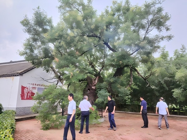 微信图片_20250811094904_3(1).jpg