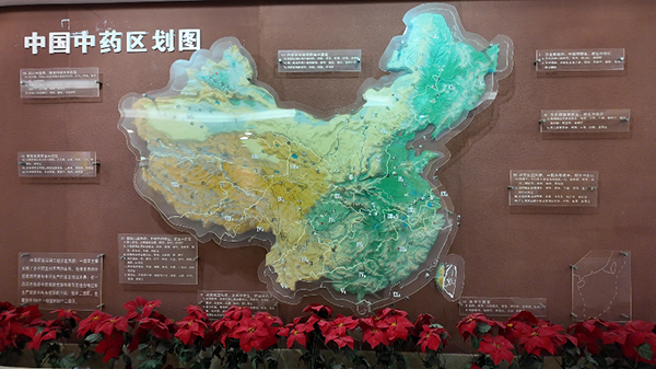 艾草为媒 赋能共赢——南阳金川健康管理有限公司全国化布局正式起航
