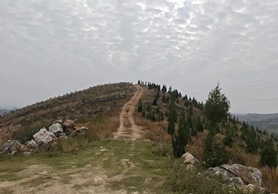 杏山秋韵记：与友同行，邂逅千年风华