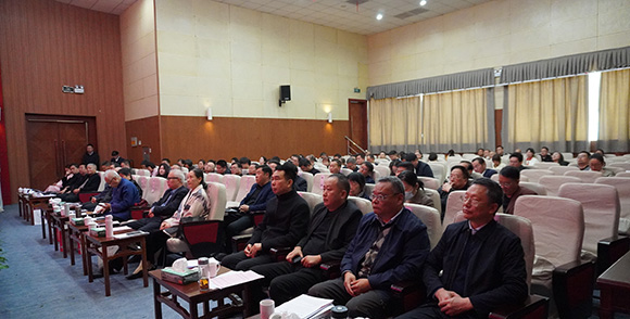 仲景故里添动能！南阳市仲景健康产业发展促进会中医药非遗及知识产权服务工作委员会成立