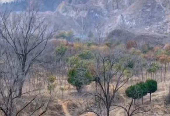 南阳文旅新地标待启：蒲山丰山白河畔，藏着“西北治愈感+罕见奇景”的网红秘境