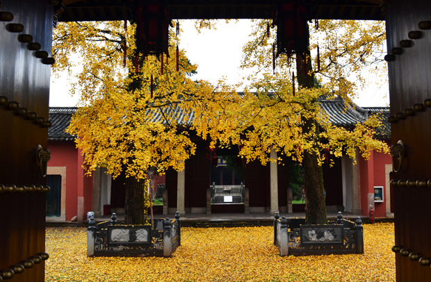 叶美峰|南孔家庙九百年