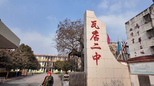 瞻仰千年汉槐 赓续红色文脉践初心