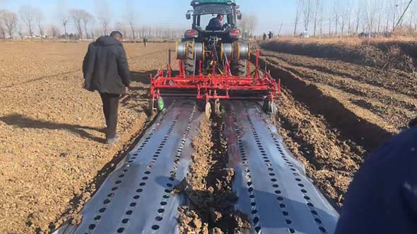 太昌生物200亩白术基地引濮阳跨市试种