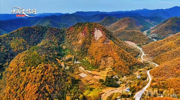 楚宫秘酿焕新生 芈氏老醋坊——千年非遗技艺续写楚汉味觉传奇