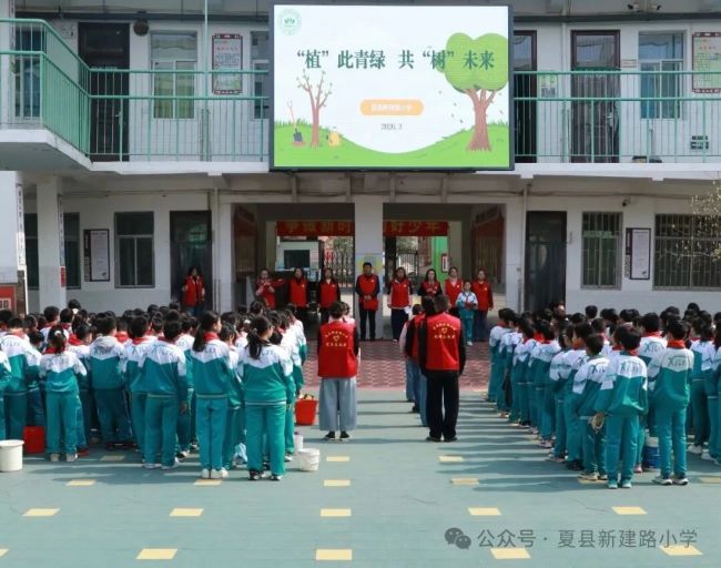 雷锋志愿行——山西夏县新建路小学开展“‘植’此青绿  共‘树’未来”植树节志愿服务活动