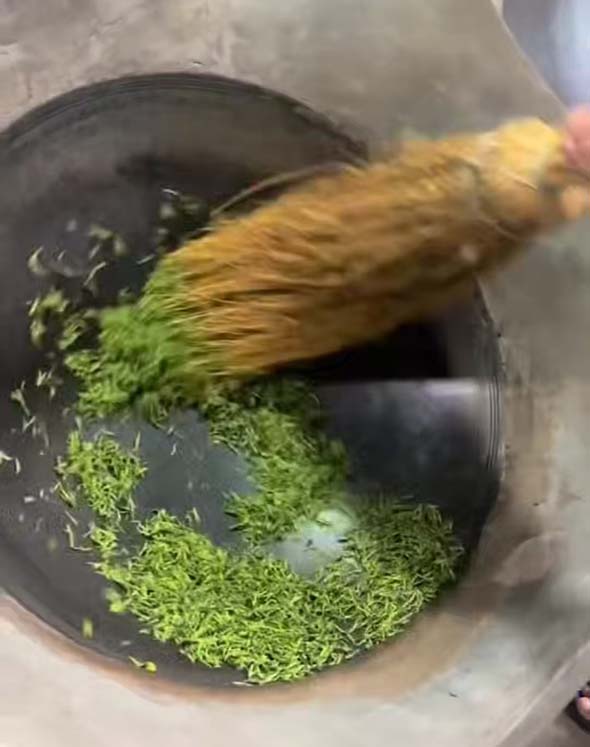 罗山转蓬村：信阳毛尖第一锅手工茶开炒 非遗技艺烹出春日鲜香