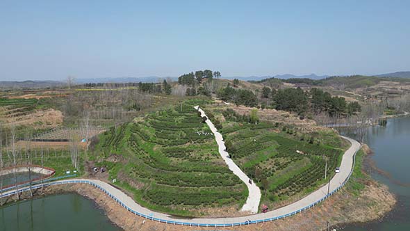 3月26日 (1)(3).jpg