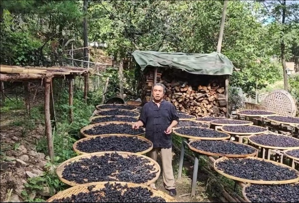 修改尺寸 (2).jpeg