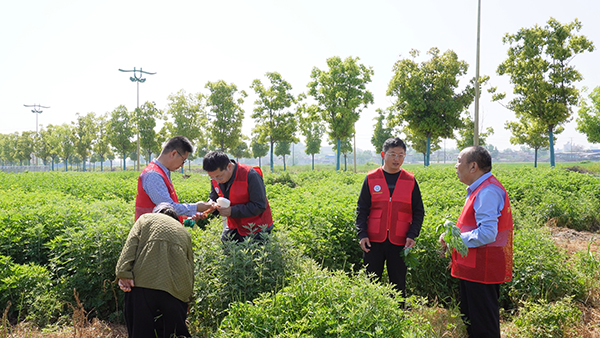 深耕航天艾育种 赋能产业新升级