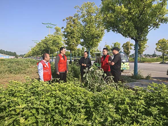 科技特派员在行动 育种赋能艾草兴