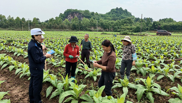 湖南新田交警：“百日行动”进乡村 田间地头“话交安”