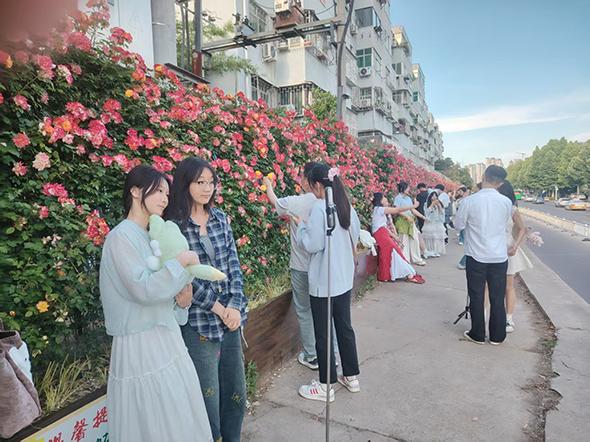 五月繁花映躬耕 南阳卧龙岗花墙成假日打卡胜地