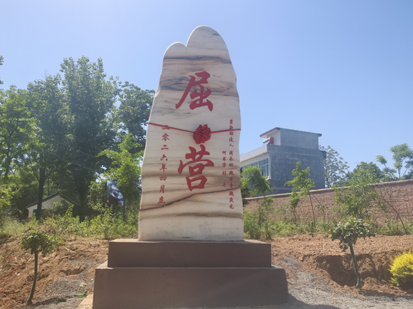 聚力民生实事 绘就美丽乡村