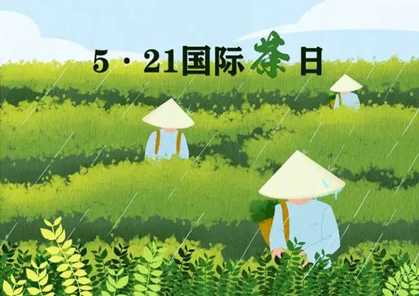 品千年淮源茶香 绘南阳振兴画卷