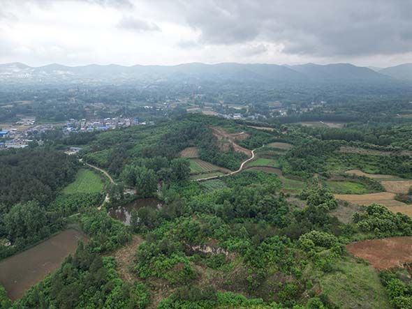 DJI_0453.jpg
