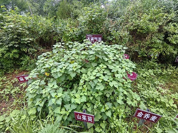 微信图片_20260520160927_545_6.jpg