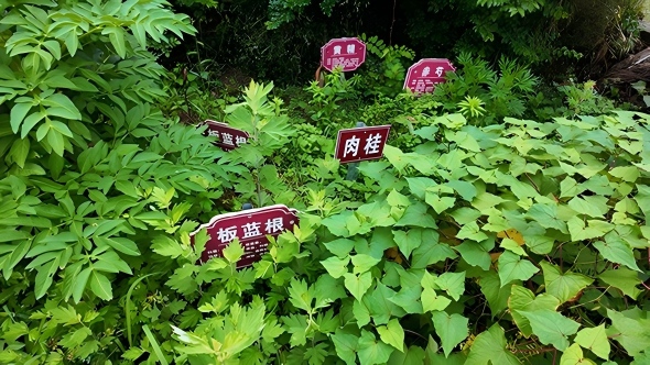 微信图片_20260521152210_60_4(1).jpg