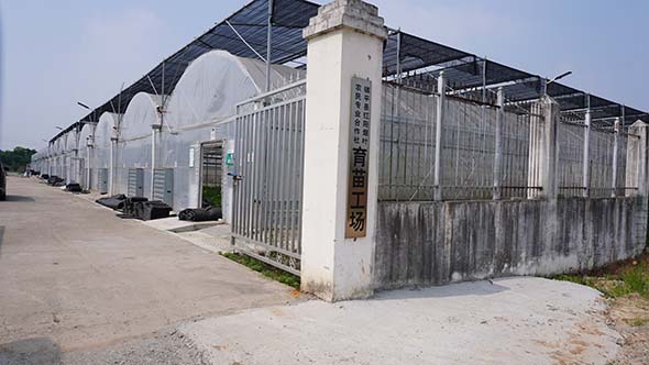 南阳：科技特派员在行动系列报道（一）