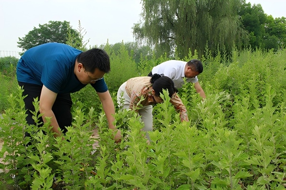 师院2(1).jpg