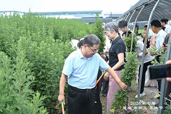 微信图片_20260619085714_515_7.jpg
