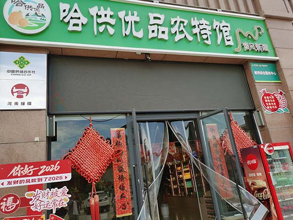 天山脚下，喝上南阳茶