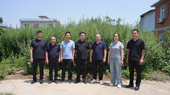 取经先进拓思路 科技兴艾促振兴