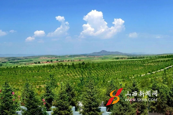大同市新荣区：生态“高颜值”转化民生“高质感”