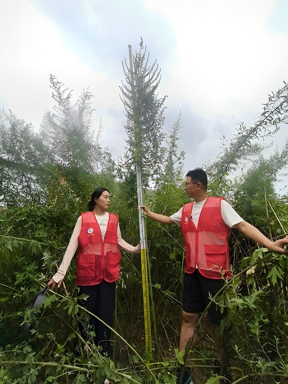 微信图片_20260806104126_137_7(1).jpg