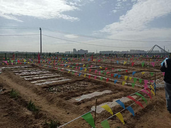 山西省大同市平城区：城郊融合赋新能 农旅文教齐发力