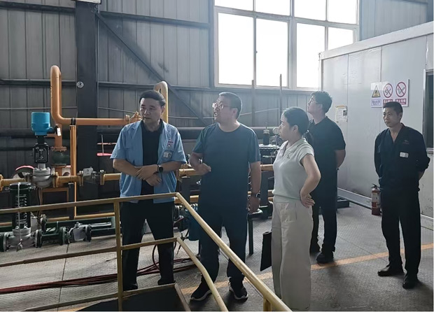 南阳市生态环境局宛城分局开展企业环保绩效升级现场核查工作