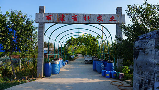 DSC00522.jpg