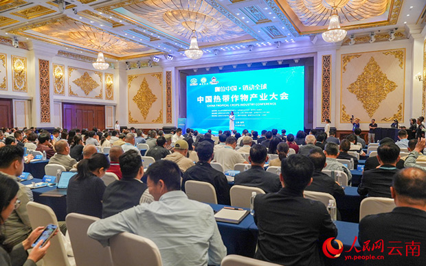 云南咖啡全产业链产值达995亿元
