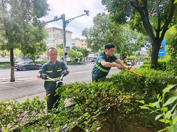 山西省大同市平城区：精耕细作提质增绿 擦亮城市生态底色